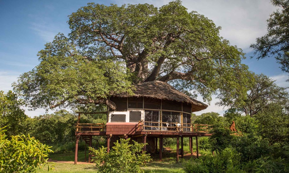 Tarangire Treetops Lodge