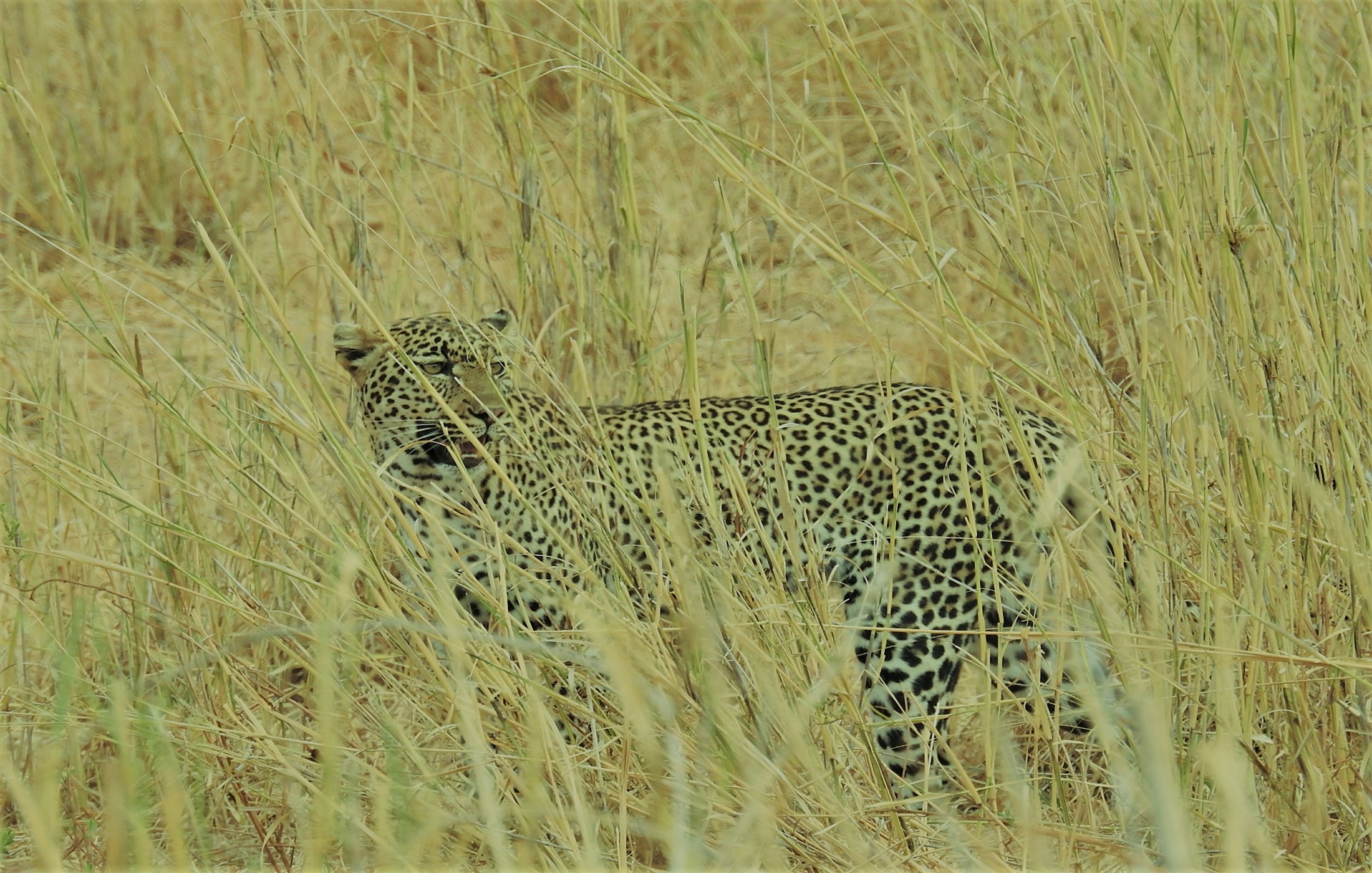 Serengeti National Park