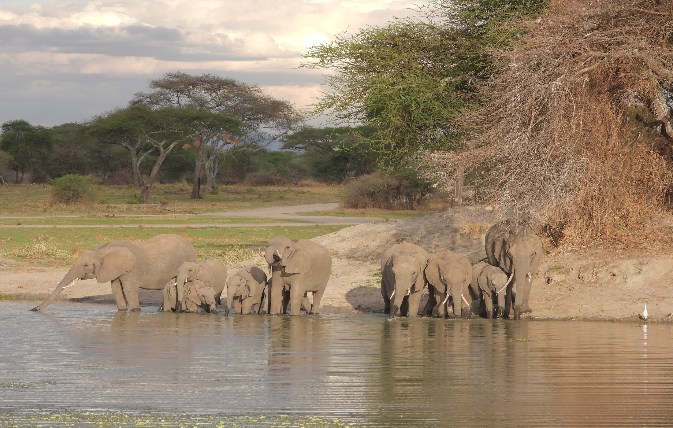 Tarangire National Park