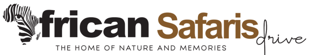 African Safari Drive